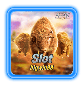 Slot bigwin88